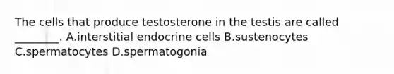 The cells that produce testosterone in the testis are called ________. A.interstitial endocrine cells B.sustenocytes C.spermatocytes D.spermatogonia