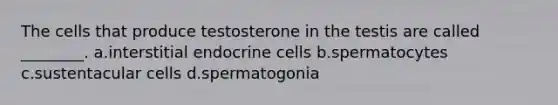 The cells that produce testosterone in the testis are called ________. a.interstitial endocrine cells b.spermatocytes c.sustentacular cells d.spermatogonia