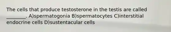 The cells that produce testosterone in the testis are called ________. A)spermatogonia B)spermatocytes C)interstitial endocrine cells D)sustentacular cells