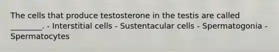 The cells that produce testosterone in the testis are called ________. - Interstitial cells - Sustentacular cells - Spermatogonia - Spermatocytes