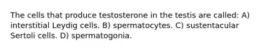 The cells that produce testosterone in the testis are called: A) interstitial Leydig cells. B) spermatocytes. C) sustentacular Sertoli cells. D) spermatogonia.