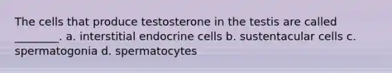 The cells that produce testosterone in the testis are called ________. a. interstitial endocrine cells b. sustentacular cells c. spermatogonia d. spermatocytes