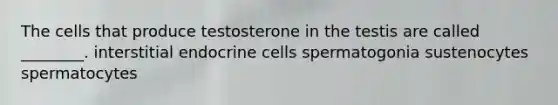 The cells that produce testosterone in the testis are called ________. interstitial endocrine cells spermatogonia sustenocytes spermatocytes