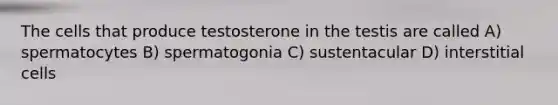 The cells that produce testosterone in the testis are called A) spermatocytes B) spermatogonia C) sustentacular D) interstitial cells