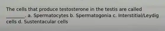 The cells that produce testosterone in the testis are called ________. a. Spermatocytes b. Spermatogonia c. Interstitial/Leydig cells d. Sustentacular cells