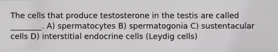 The cells that produce testosterone in the testis are called ________. A) spermatocytes B) spermatogonia C) sustentacular cells D) interstitial endocrine cells (Leydig cells)