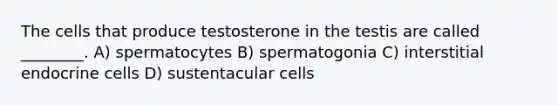 The cells that produce testosterone in the testis are called ________. A) spermatocytes B) spermatogonia C) interstitial endocrine cells D) sustentacular cells