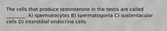 The cells that produce testosterone in the testis are called ________. A) spermatocytes B) spermatogonia C) sustentacular cells D) interstitial endocrine cells