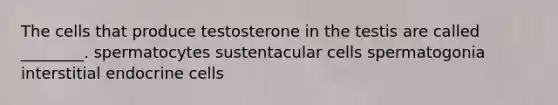 The cells that produce testosterone in the testis are called ________. spermatocytes sustentacular cells spermatogonia interstitial endocrine cells