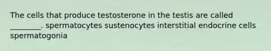 The cells that produce testosterone in the testis are called ________. spermatocytes sustenocytes interstitial endocrine cells spermatogonia