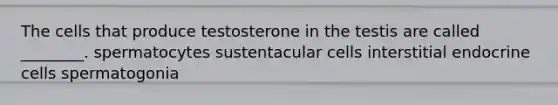 The cells that produce testosterone in the testis are called ________. spermatocytes sustentacular cells interstitial endocrine cells spermatogonia