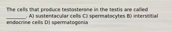 The cells that produce testosterone in the testis are called ________. A) sustentacular cells C) spermatocytes B) interstitial endocrine cells D) spermatogonia