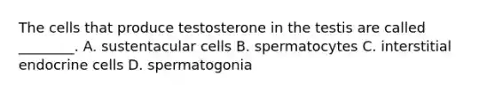 The cells that produce testosterone in the testis are called ________. A. sustentacular cells B. spermatocytes C. interstitial endocrine cells D. spermatogonia