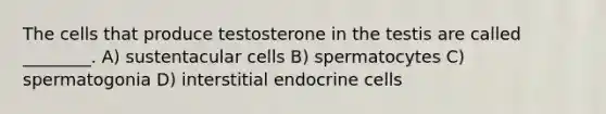 The cells that produce testosterone in the testis are called ________. A) sustentacular cells B) spermatocytes C) spermatogonia D) interstitial endocrine cells