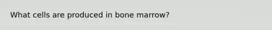 What cells are produced in bone marrow?