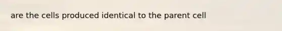 are the cells produced identical to the parent cell