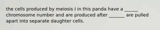 the cells produced by meiosis I in this panda have a ______ chromosome number and are produced after _______ are pulled apart into separate daughter cells.