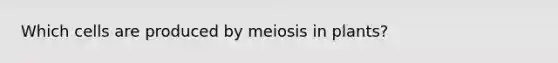 Which cells are produced by meiosis in plants?