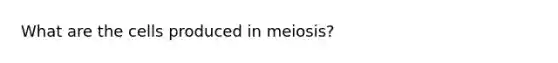 What are the cells produced in meiosis?