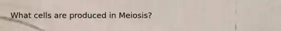 What cells are produced in Meiosis?