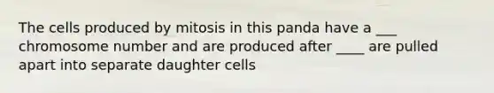 The cells produced by mitosis in this panda have a ___ chromosome number and are produced after ____ are pulled apart into separate daughter cells