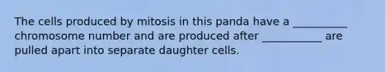 The cells produced by mitosis in this panda have a __________ chromosome number and are produced after ___________ are pulled apart into separate daughter cells.