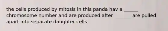 the cells produced by mitosis in this panda hav a ______ chromosome number and are produced after _______ are pulled apart into separate daughter cells