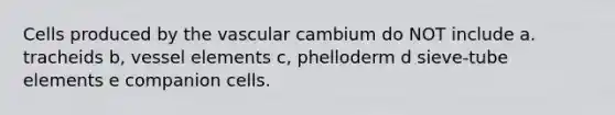 Cells produced by the vascular cambium do NOT include a. tracheids b, vessel elements c, phelloderm d sieve-tube elements e companion cells.