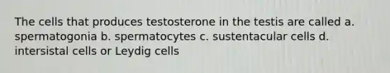 The cells that produces testosterone in the testis are called a. spermatogonia b. spermatocytes c. sustentacular cells d. intersistal cells or Leydig cells