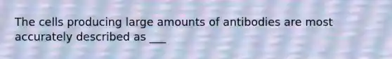 The cells producing large amounts of antibodies are most accurately described as ___