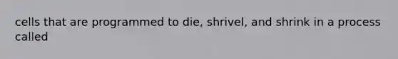 cells that are programmed to die, shrivel, and shrink in a process called