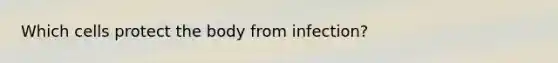 Which cells protect the body from infection?