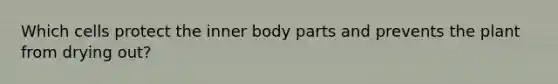 Which cells protect the inner body parts and prevents the plant from drying out?