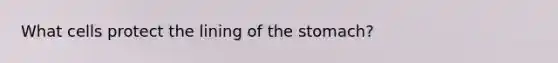 What cells protect the lining of <a href='https://www.questionai.com/knowledge/kLccSGjkt8-the-stomach' class='anchor-knowledge'>the stomach</a>?