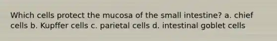 Which cells protect the mucosa of the small intestine? a. chief cells b. Kupffer cells c. parietal cells d. intestinal goblet cells