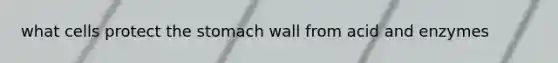 what cells protect <a href='https://www.questionai.com/knowledge/kLccSGjkt8-the-stomach' class='anchor-knowledge'>the stomach</a> wall from acid and enzymes