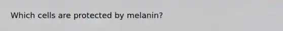 Which cells are protected by melanin?