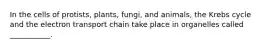 In the cells of protists, plants, fungi, and animals, the Krebs cycle and the electron transport chain take place in organelles called ___________.