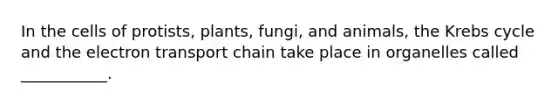 In the cells of protists, plants, fungi, and animals, the <a href='https://www.questionai.com/knowledge/kqfW58SNl2-krebs-cycle' class='anchor-knowledge'>krebs cycle</a> and <a href='https://www.questionai.com/knowledge/k57oGBr0HP-the-electron-transport-chain' class='anchor-knowledge'>the electron transport chain</a> take place in organelles called ___________.