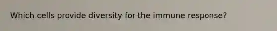 Which cells provide diversity for the immune response?