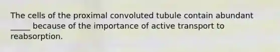 The cells of the proximal convoluted tubule contain abundant _____ because of the importance of active transport to reabsorption.