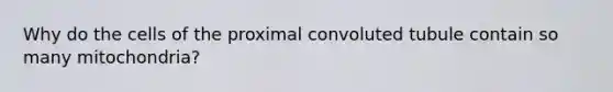 Why do the cells of the proximal convoluted tubule contain so many mitochondria?