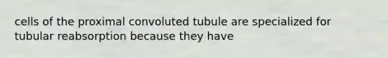 cells of the proximal convoluted tubule are specialized for tubular reabsorption because they have