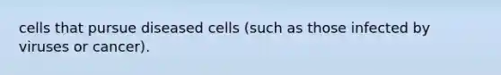 cells that pursue diseased cells (such as those infected by viruses or cancer).