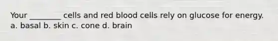 Your ________ cells and red blood cells rely on glucose for energy. a. basal b. skin c. cone d. brain