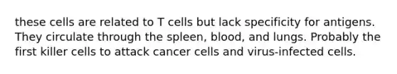 these cells are related to T cells but lack specificity for antigens. They circulate through the spleen, blood, and lungs. Probably the first killer cells to attack cancer cells and virus-infected cells.