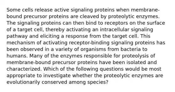 Some cells release active signaling proteins when membrane-bound precursor proteins are cleaved by proteolytic enzymes. The signaling proteins can then bind to receptors on the surface of a target cell, thereby activating an intracellular signaling pathway and eliciting a response from the target cell. This mechanism of activating receptor-binding signaling proteins has been observed in a variety of organisms from bacteria to humans. Many of the enzymes responsible for proteolysis of membrane-bound precursor proteins have been isolated and characterized. Which of the following questions would be most appropriate to investigate whether the proteolytic enzymes are evolutionarily conserved among species?