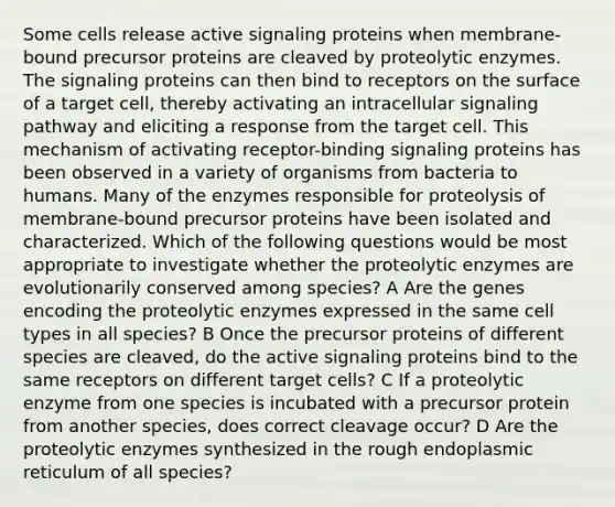 Some cells release active signaling proteins when membrane-bound precursor proteins are cleaved by proteolytic enzymes. The signaling proteins can then bind to receptors on the surface of a target cell, thereby activating an intracellular signaling pathway and eliciting a response from the target cell. This mechanism of activating receptor-binding signaling proteins has been observed in a variety of organisms from bacteria to humans. Many of the enzymes responsible for proteolysis of membrane-bound precursor proteins have been isolated and characterized. Which of the following questions would be most appropriate to investigate whether the proteolytic enzymes are evolutionarily conserved among species? A Are the genes encoding the proteolytic enzymes expressed in the same cell types in all species? B Once the precursor proteins of different species are cleaved, do the active signaling proteins bind to the same receptors on different target cells? C If a proteolytic enzyme from one species is incubated with a precursor protein from another species, does correct cleavage occur? D Are the proteolytic enzymes synthesized in the rough endoplasmic reticulum of all species?