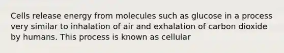 Cells release energy from molecules such as glucose in a process very similar to inhalation of air and exhalation of carbon dioxide by humans. This process is known as cellular