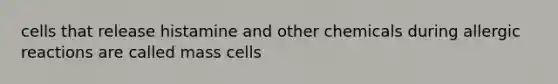 cells that release histamine and other chemicals during allergic reactions are called mass cells